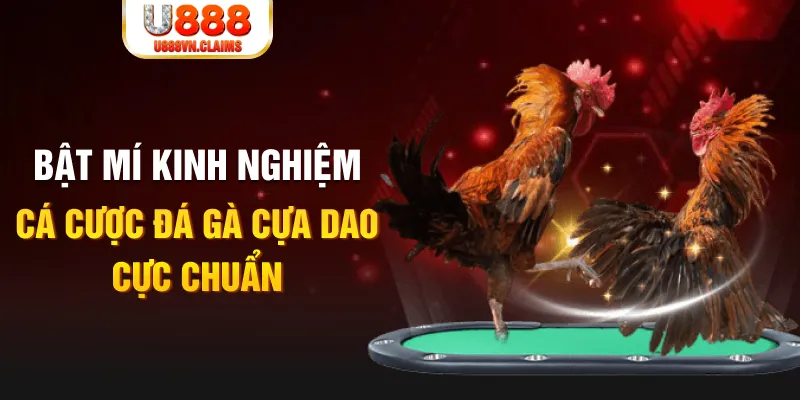 cwin05 casino hồ tràm có cho người việt vào không
