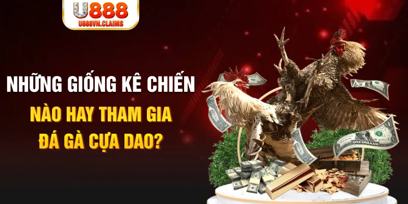 cwin05 BG Trực Tuyến