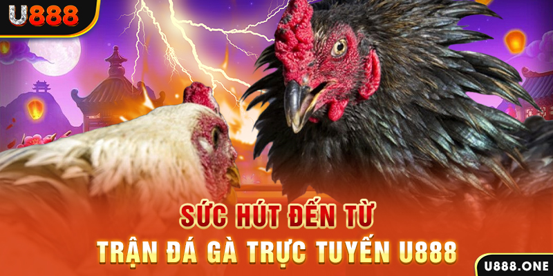 cwin05 đăng nhập poker 2024