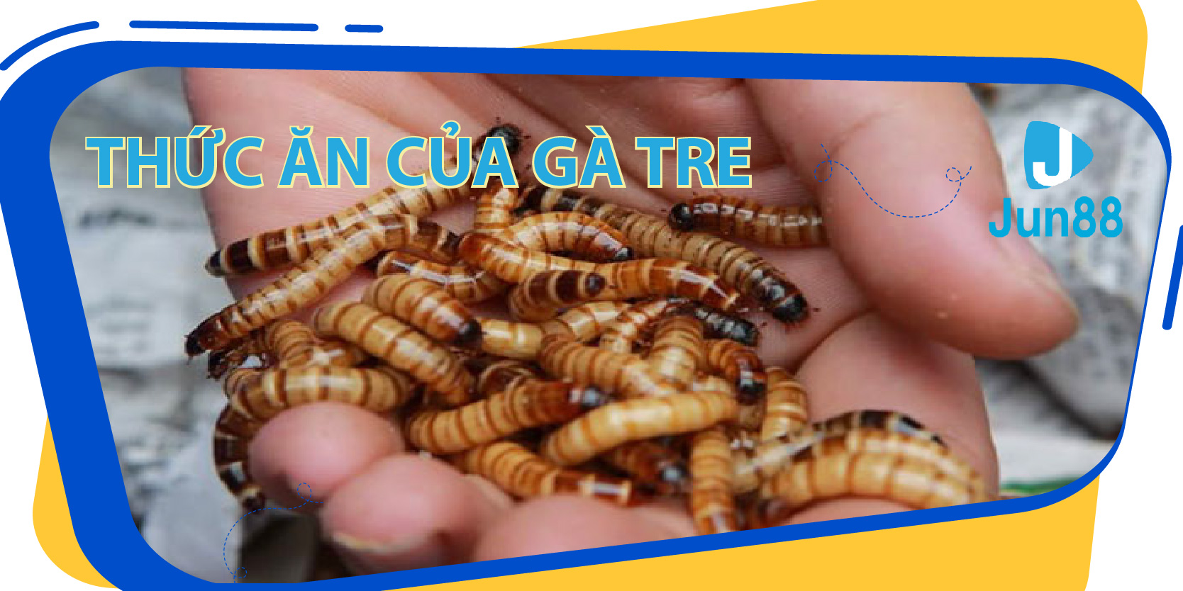 cwin05 da ga 67