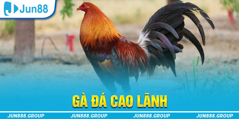 cwin05 tai game vua bai ve may tinh
