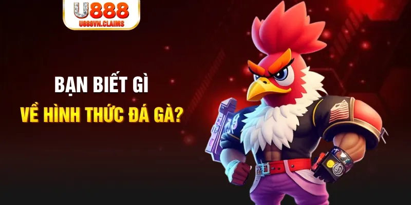 cwin05 đăng nhập liêng tặng tiền