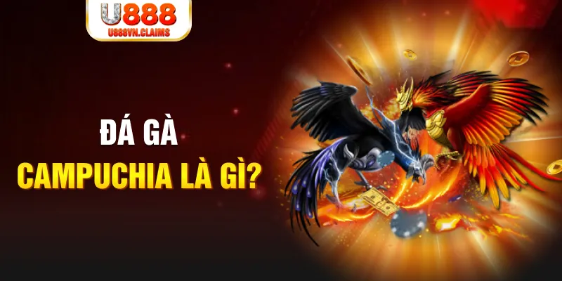 cwin05 what is the best online casino for real money