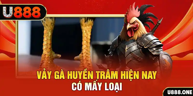 cwin05 đăng nhập nổ hũ miễn phí