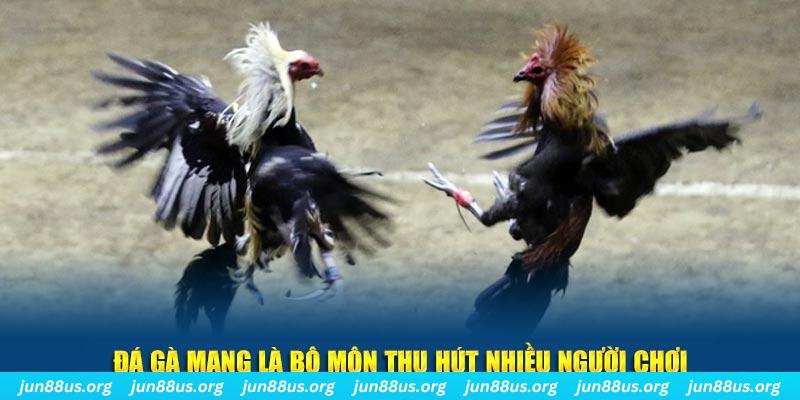 cwin05 đăng nhập sòng bạc số 1