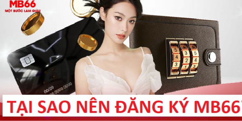 cwin05 trực tiếp gà chọi c1