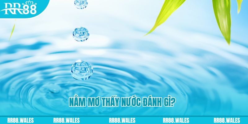 cwin05 xổ số trực tiếp miền bắc