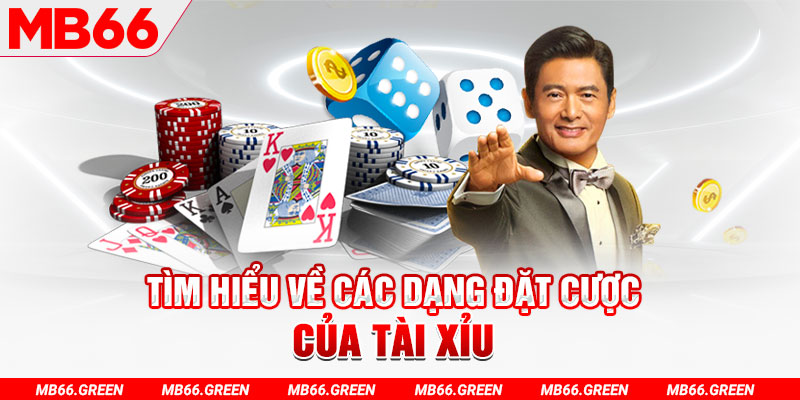 cwin05 what is a casino loyalty program
