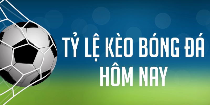 cwin05 đăng nhập phỏm