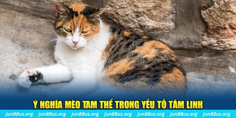 cwin05 máy slot game là loại trò chơi gì？