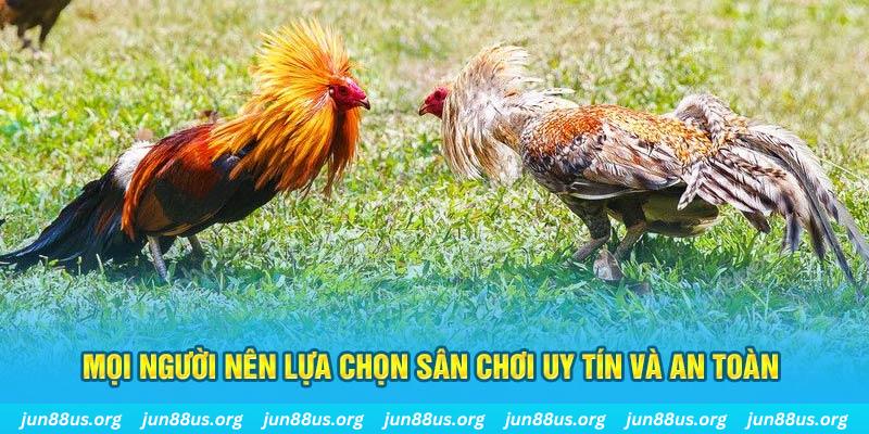 cwin05 đăng nhập poker 2025