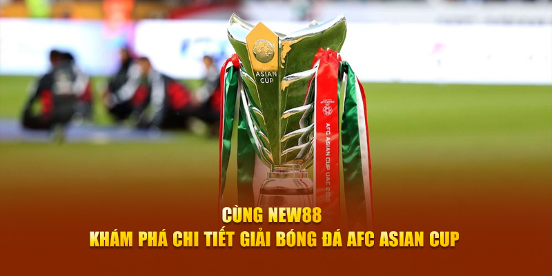 cwin05 slot là gì dịch