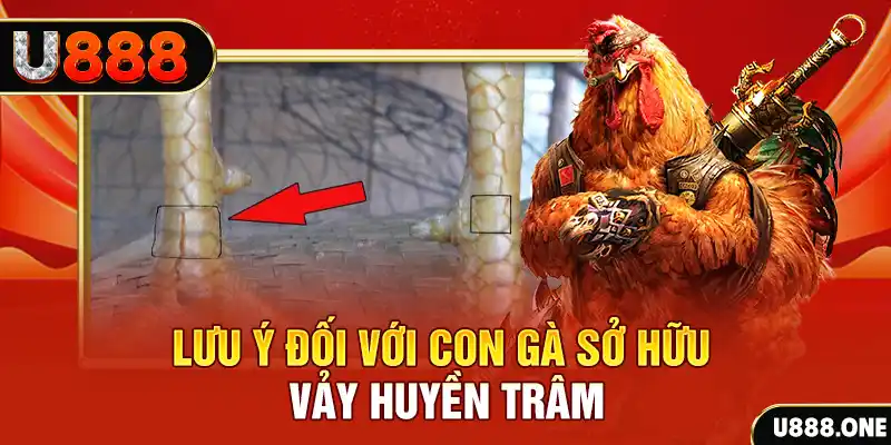 cwin05 tải game đánh bài tiến lên miền nam về máy tính