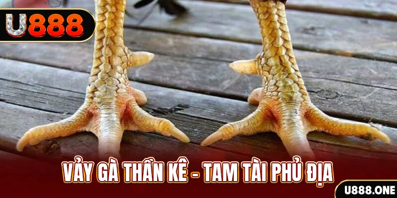 cwin05 so xo mien trung
