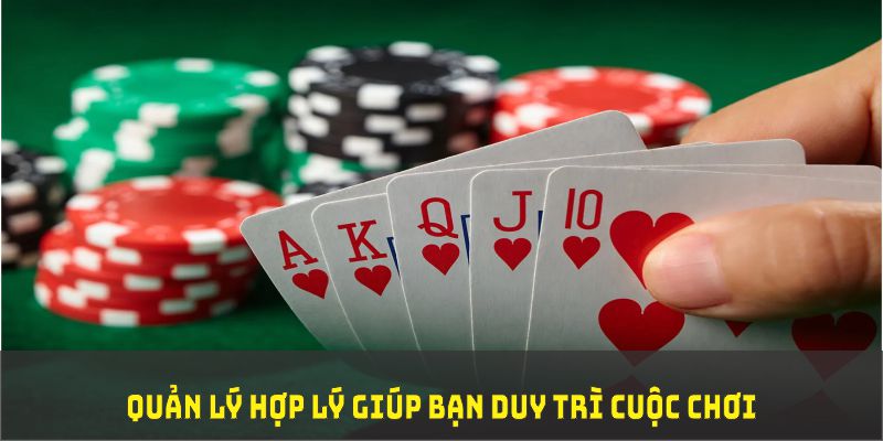 cwin05 đá gà trực tiếp thomo 67