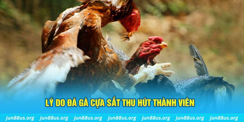 cwin05 nổ hũ ăn bao nhiêu