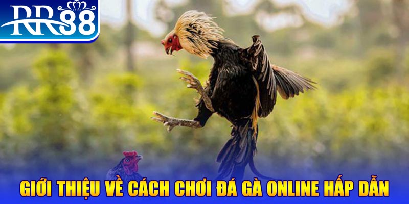cwin05 EvoPlay Điện Tử