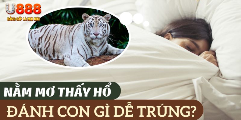 cwin05 nohu .mx nổ hủ là gì