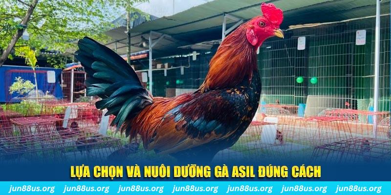 cwin05 nổ hũ thần tài là gì