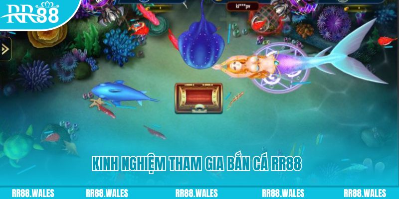 cwin05 tại sao không tải được nổ hũ
