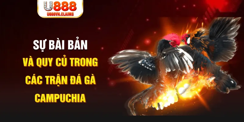 cwin05 game xếp bài trên máy tính