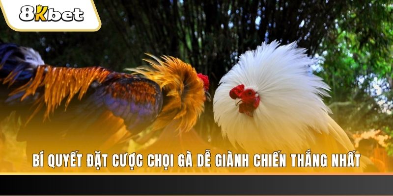 cwin05 nổ hũ chơi như thế nào