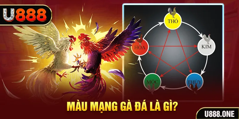 cwin05 V8 Game Bài 3d