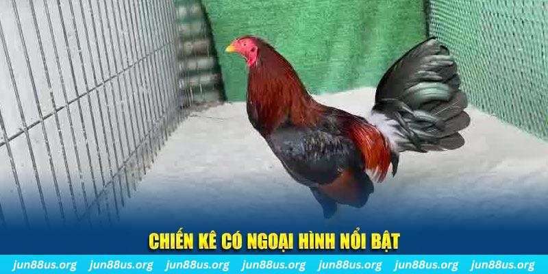 cwin05 qq88 bắn cá