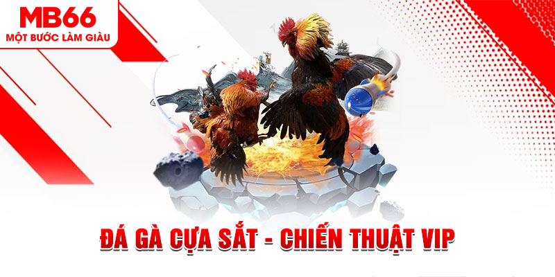 cwin05 slot out là gì