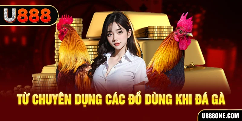 cwin05 đăng nhập poker trực tiếp
