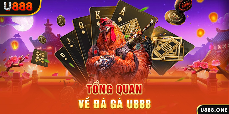 cwin05 xổ số vietlott