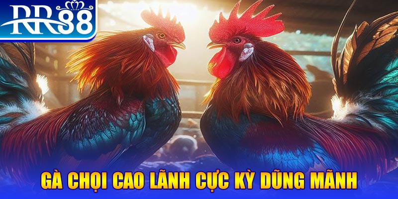 cwin05 đăng nhập poker live